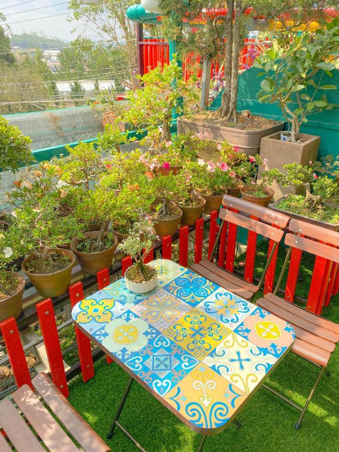 Ziczac Homestay Da Lat Buitenkant foto